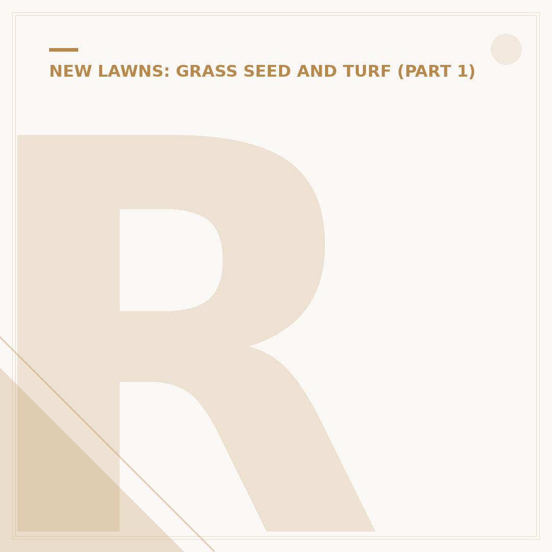 Reseeding Lawn: How to Restore Bare Patches