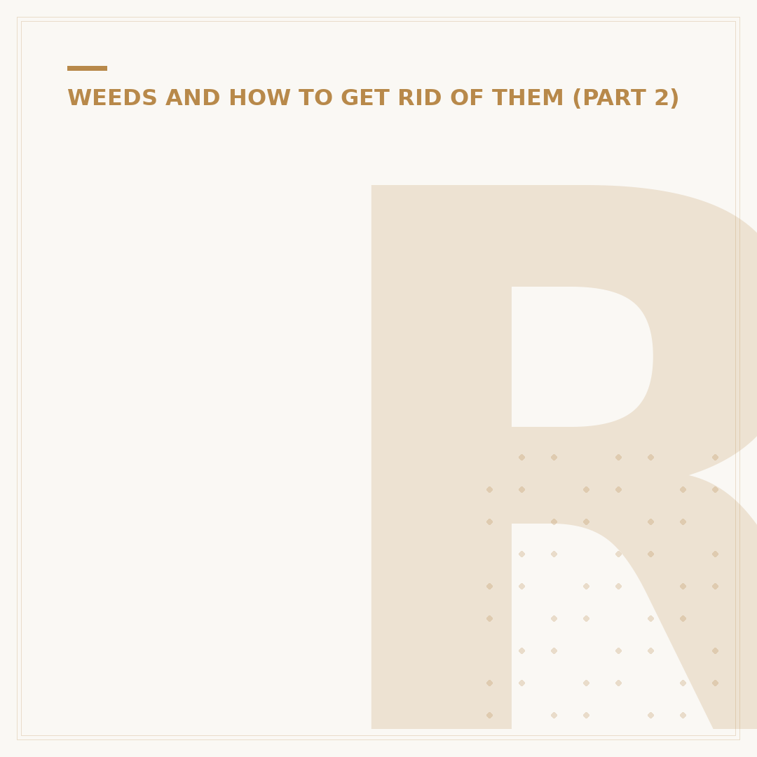 Richard Brambles: Brand and Alternatives