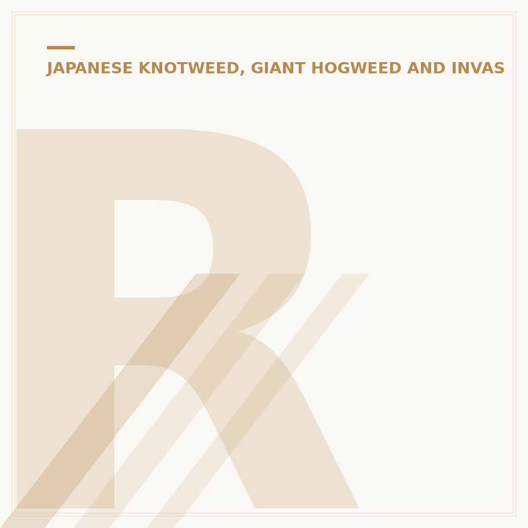 RICS Japanese Knotweed: Identification & Removal