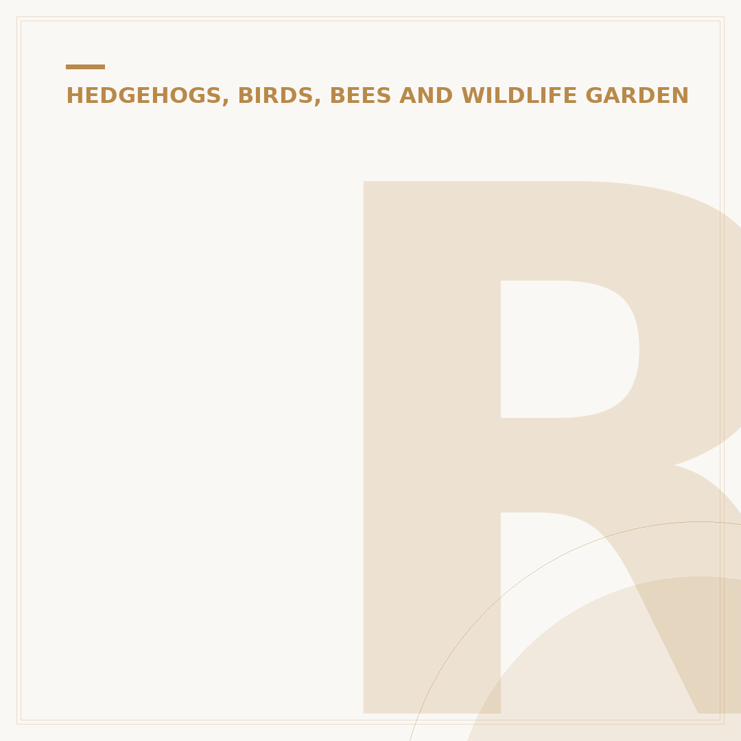 Roamwild Bird Feeder Options Reviewed