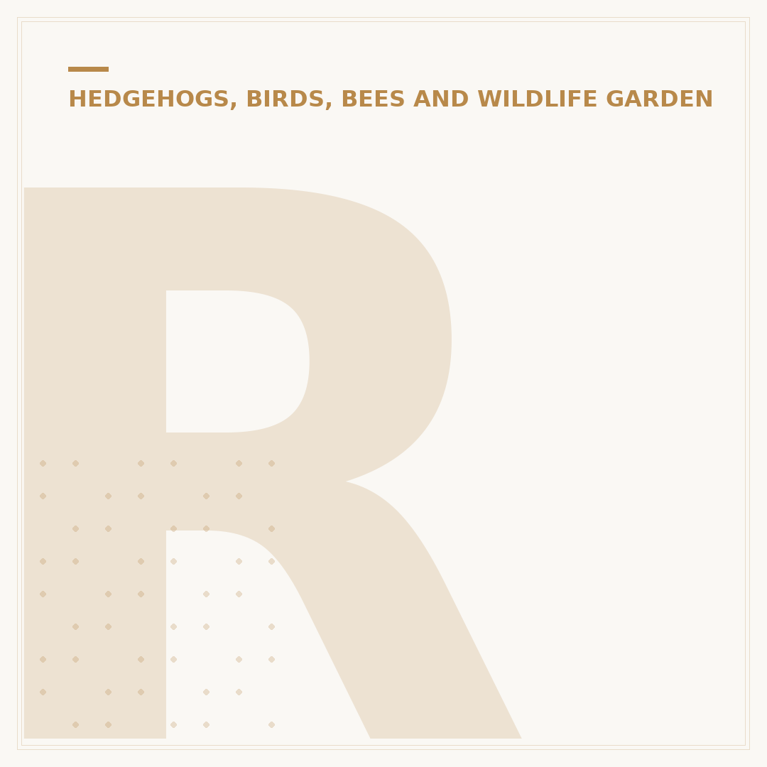 Robin Bird Feeder: Attracting Robins to Your Garden