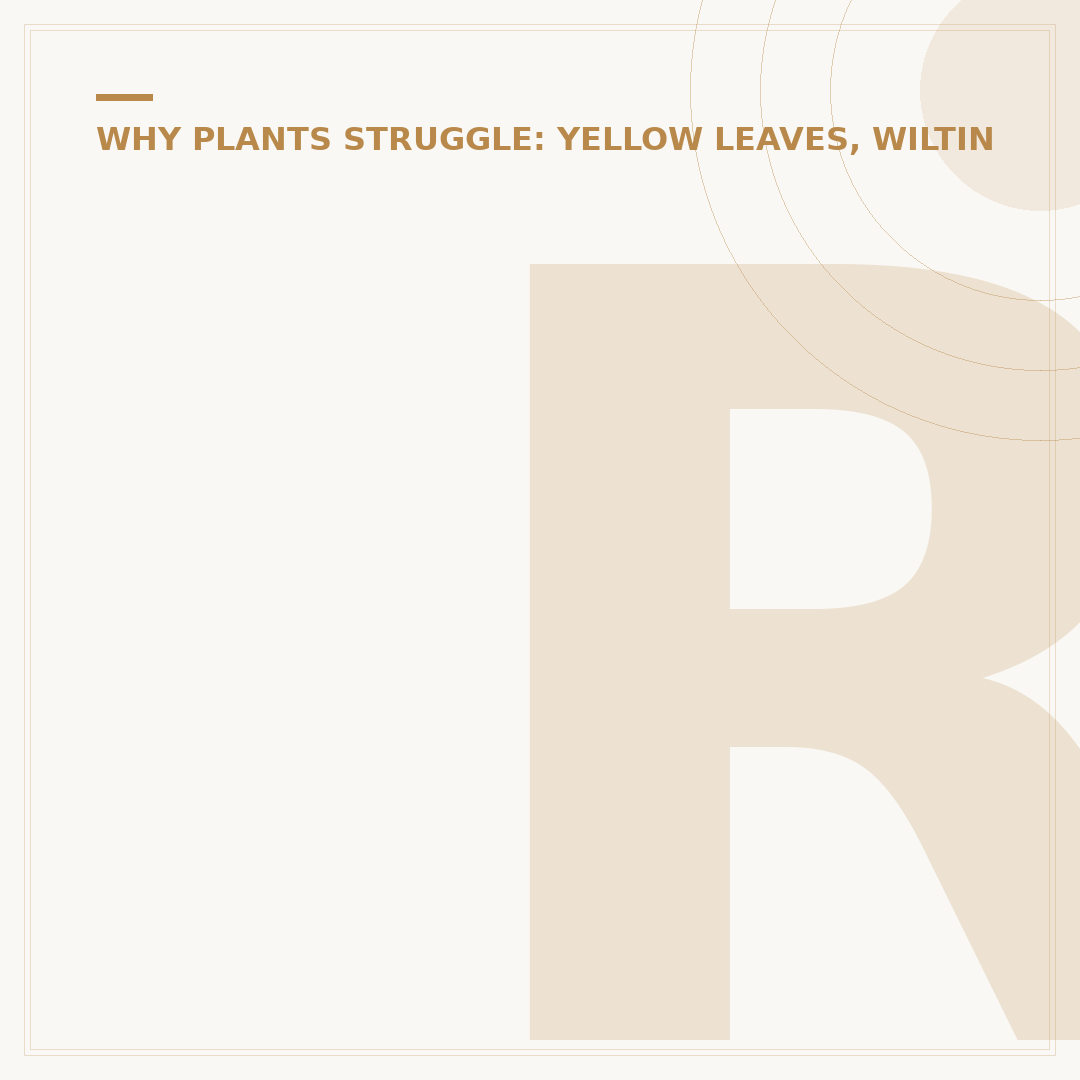Root Rot Treatment: Identify and Save Your Plants