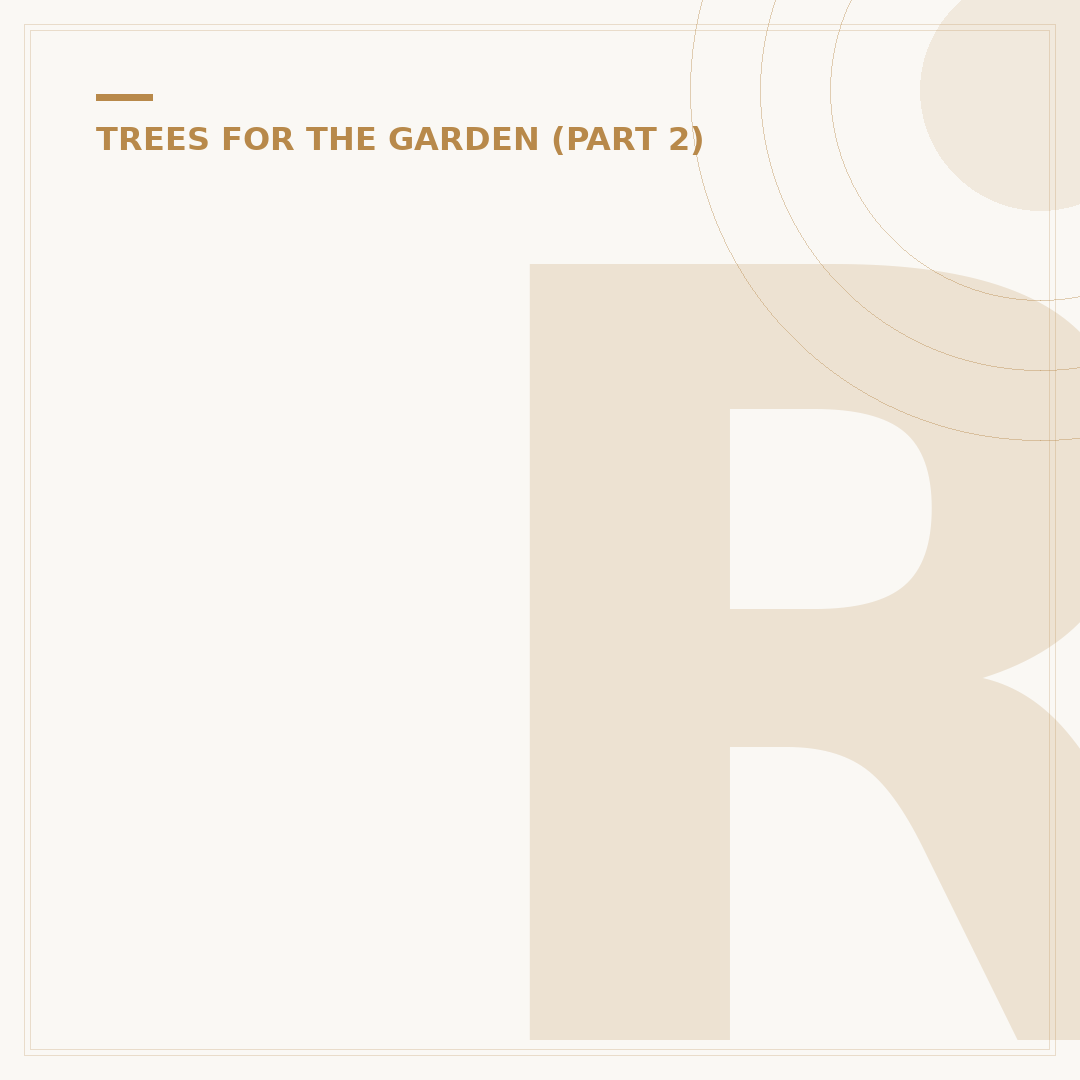 Rowan Tree Pruning: Avoiding Mistakes and Achieving Shape