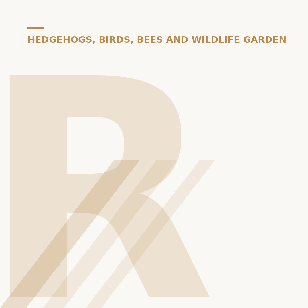 RSPB Advice on Feeding Garden Birds