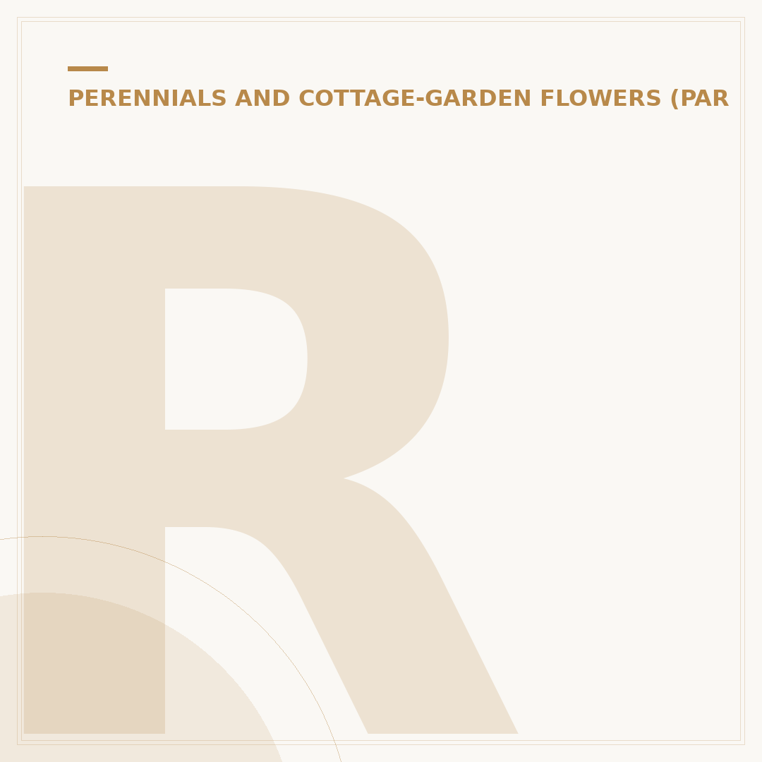 Rudbeckia Goldstrum: Growing and Care