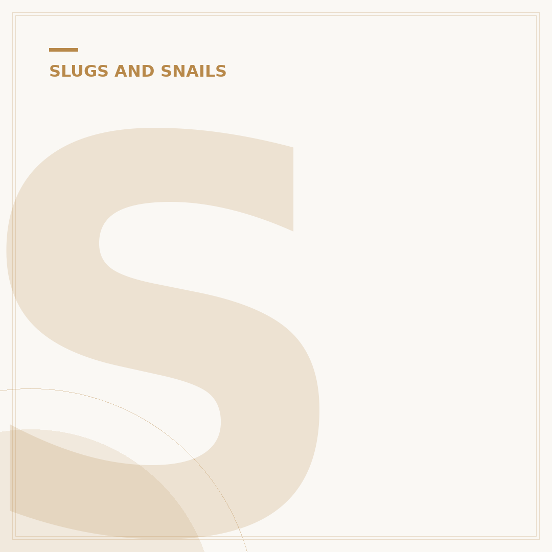 Salting Slugs: An Effective Control Method