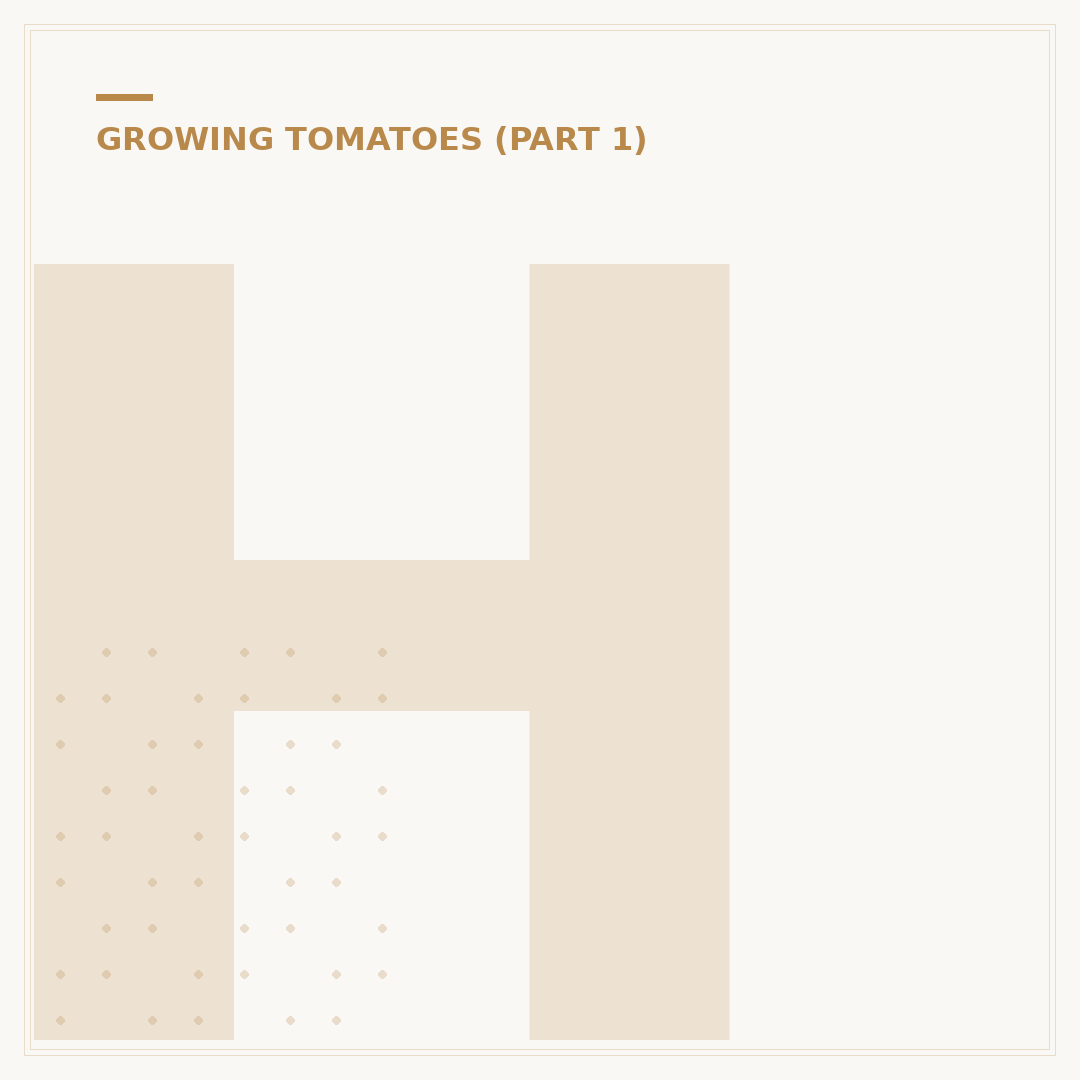 How to Save Tomato Seeds for Next Season