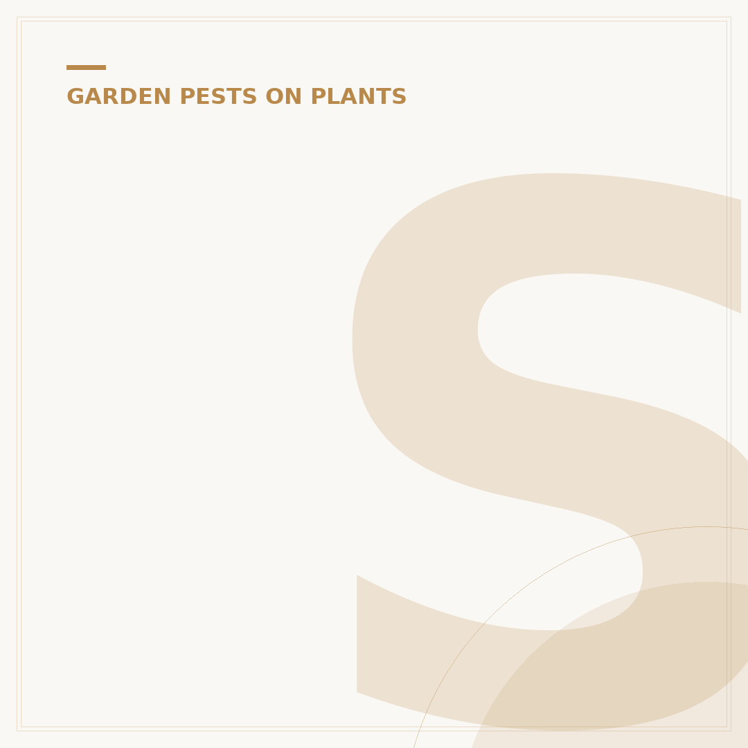 Scale Insect Identification: Spotting and Dealing with Pests