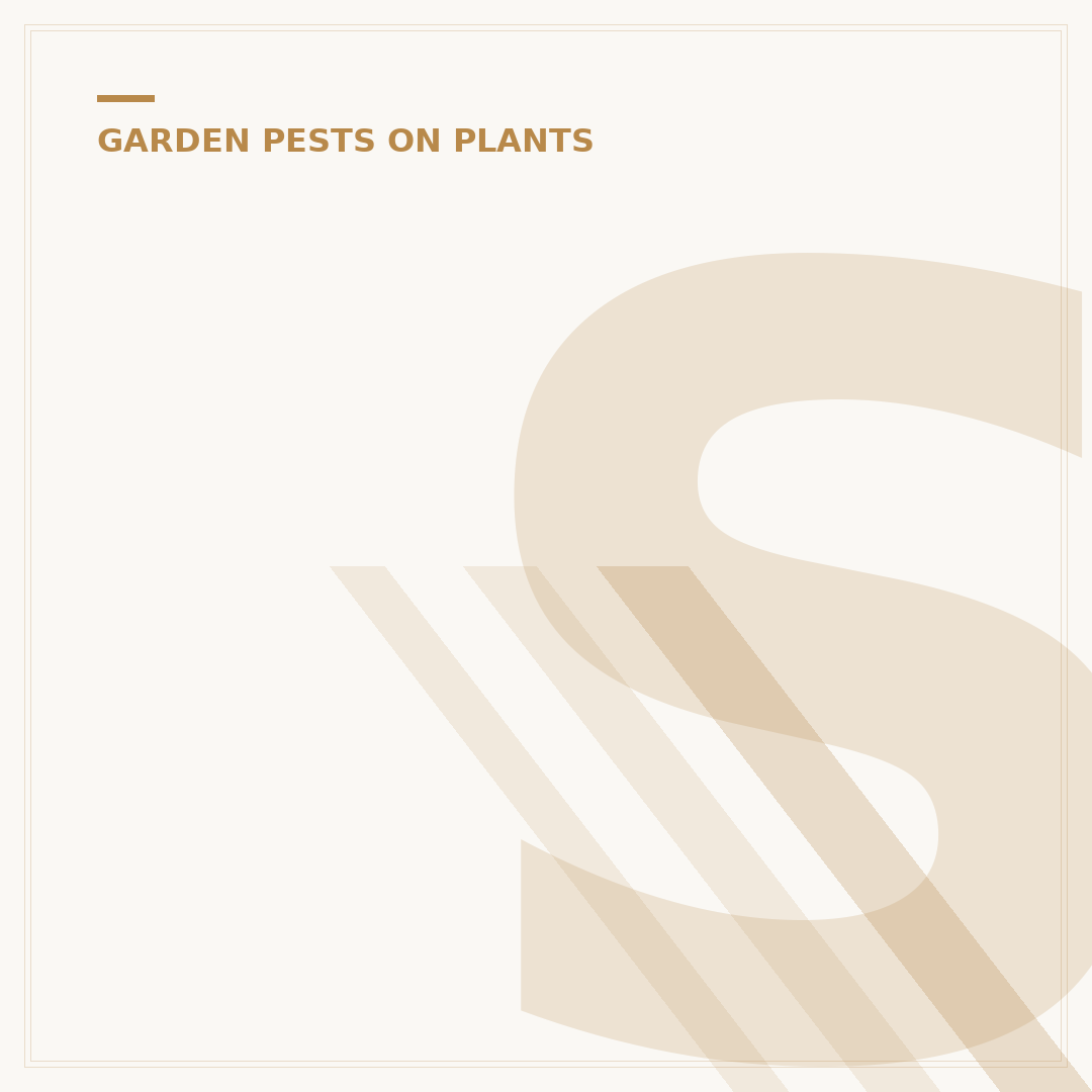 Scale Insect Treatment: Options for Garden and Houseplants
