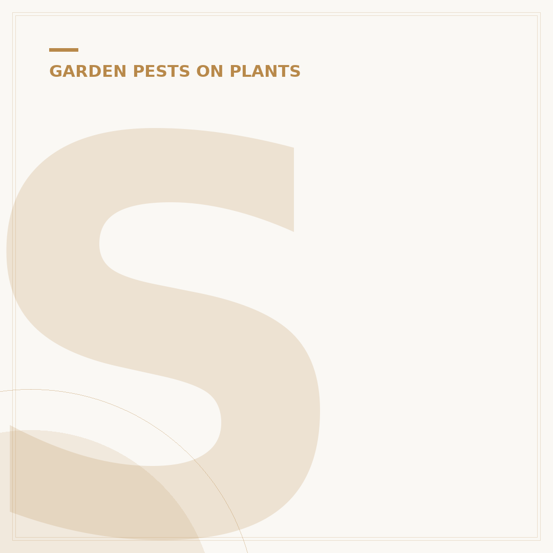 Scale Insects on Citrus Plants: Identify and Control