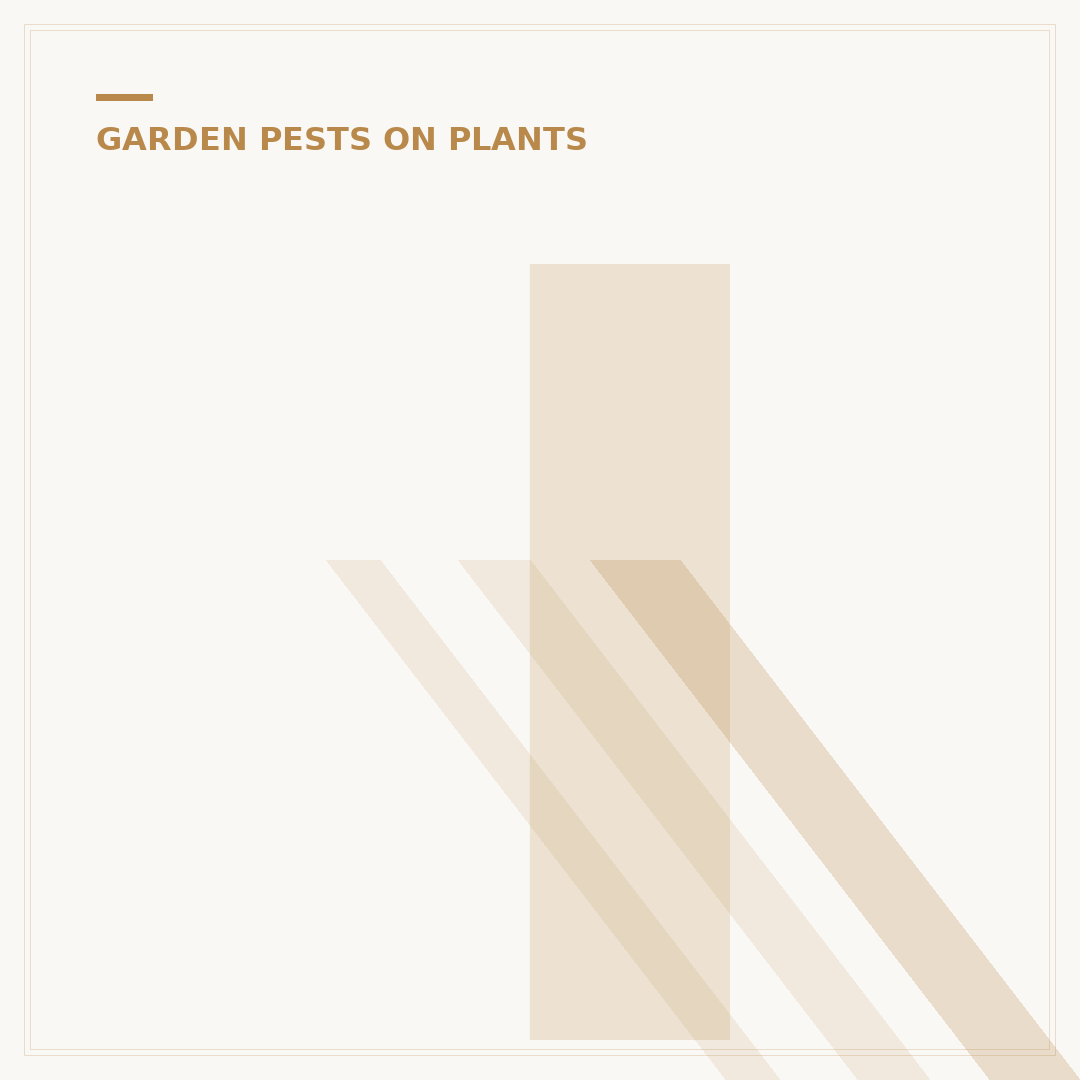 Identifying & Treating Scale Insects on Houseplants