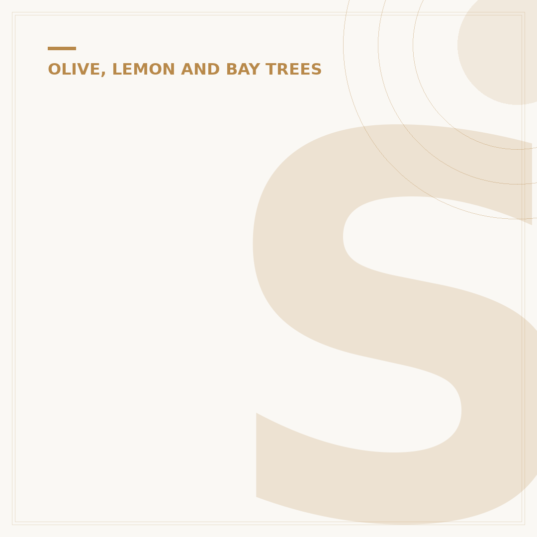 Scale Insects on Lemon Tree: Identification & Control