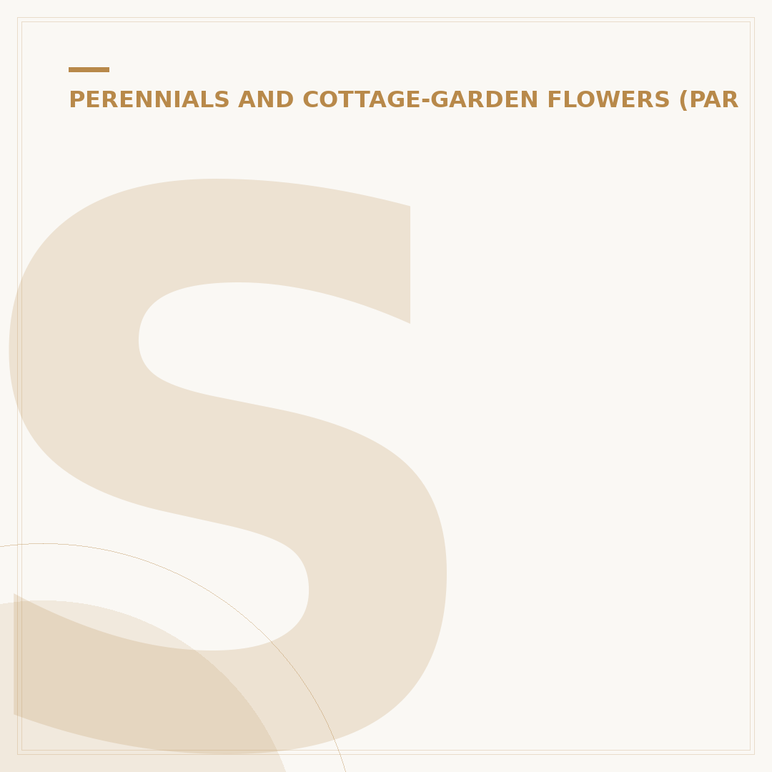 Schafgarbe (Achillea Millefolium)