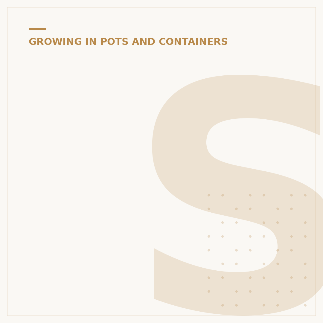 Screening Plants for Containers: Create Privacy