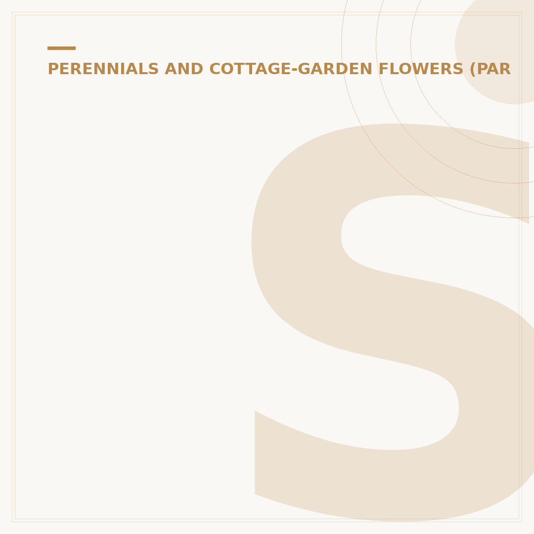 Sedum Spurium Stonecrop: Hardy Ground Cover