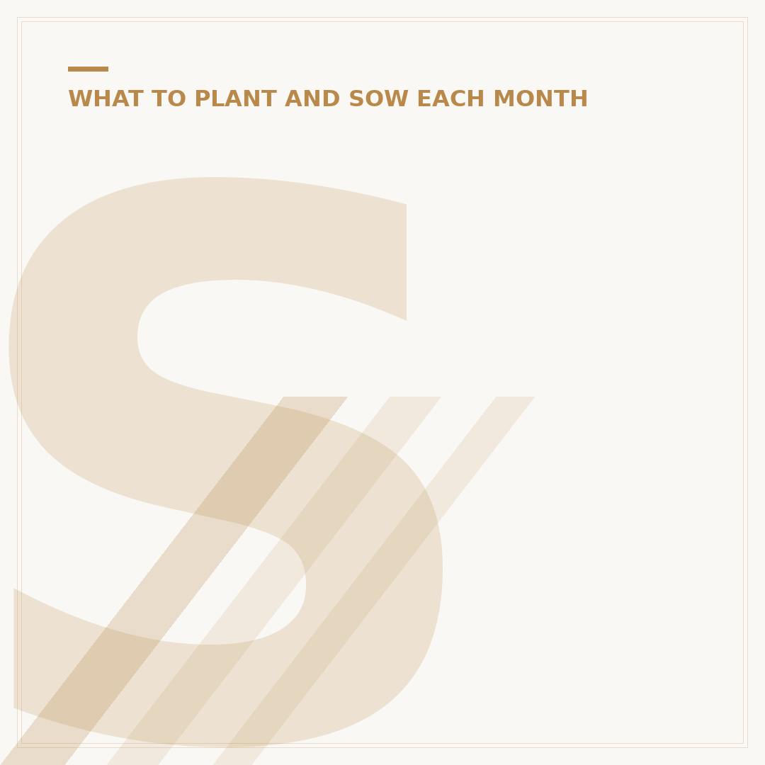 Seeds to Sow in February for UK Gardens