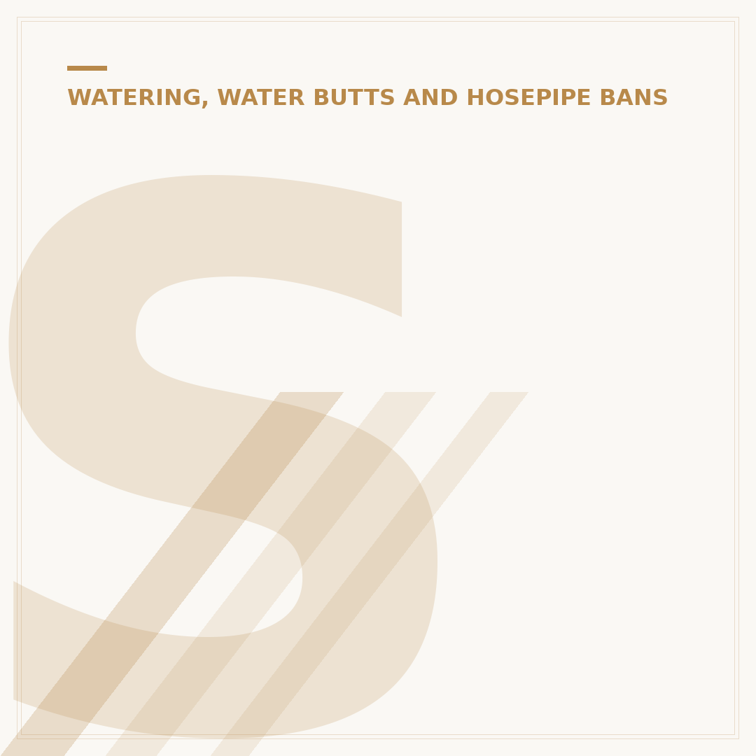 Self-Watering Plants