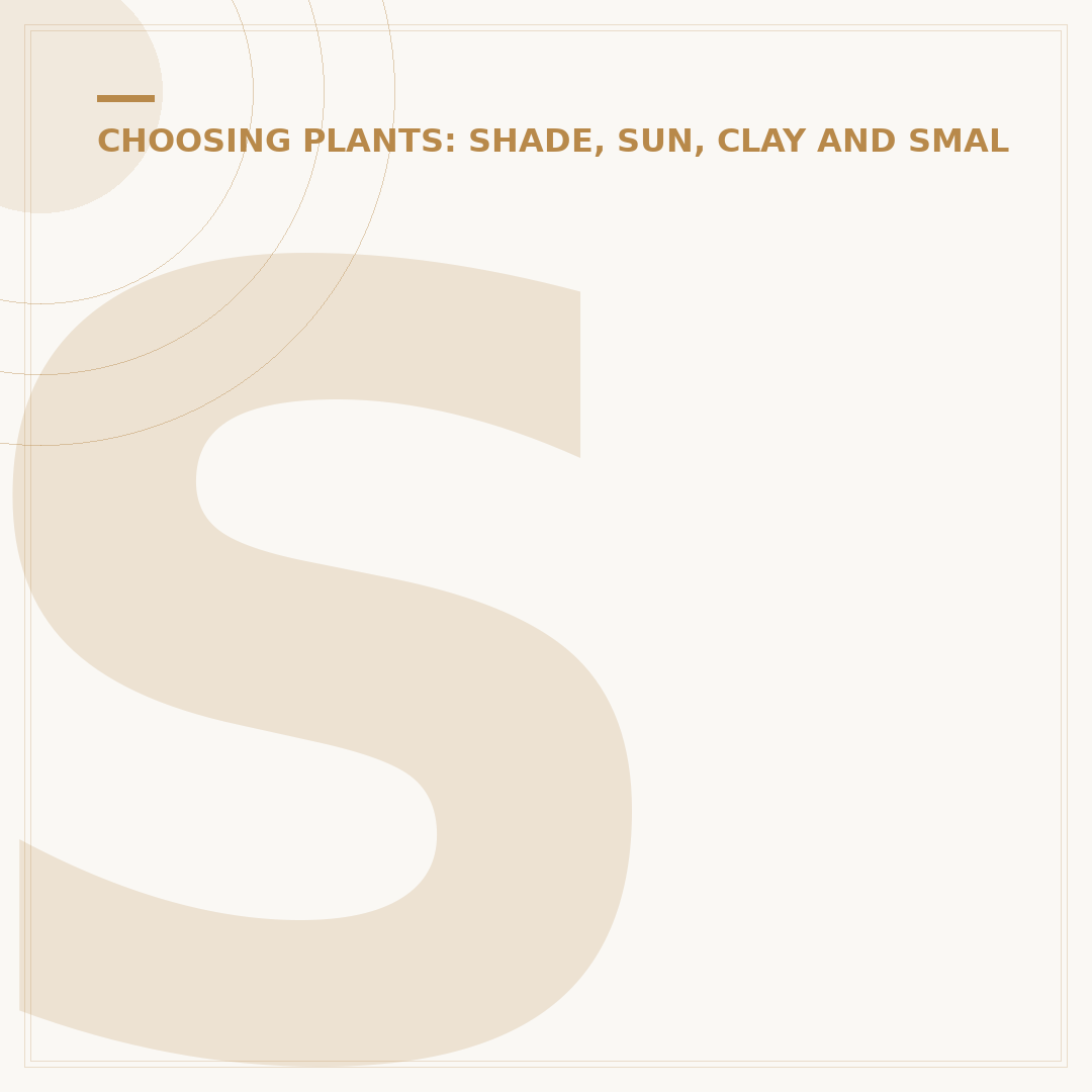 Shade Rockery Plants: Garden Options for Shady Spots