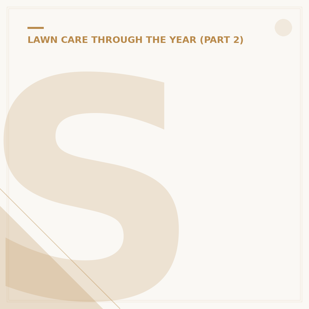 Sharp Sand for Lawns: Benefits and Uses