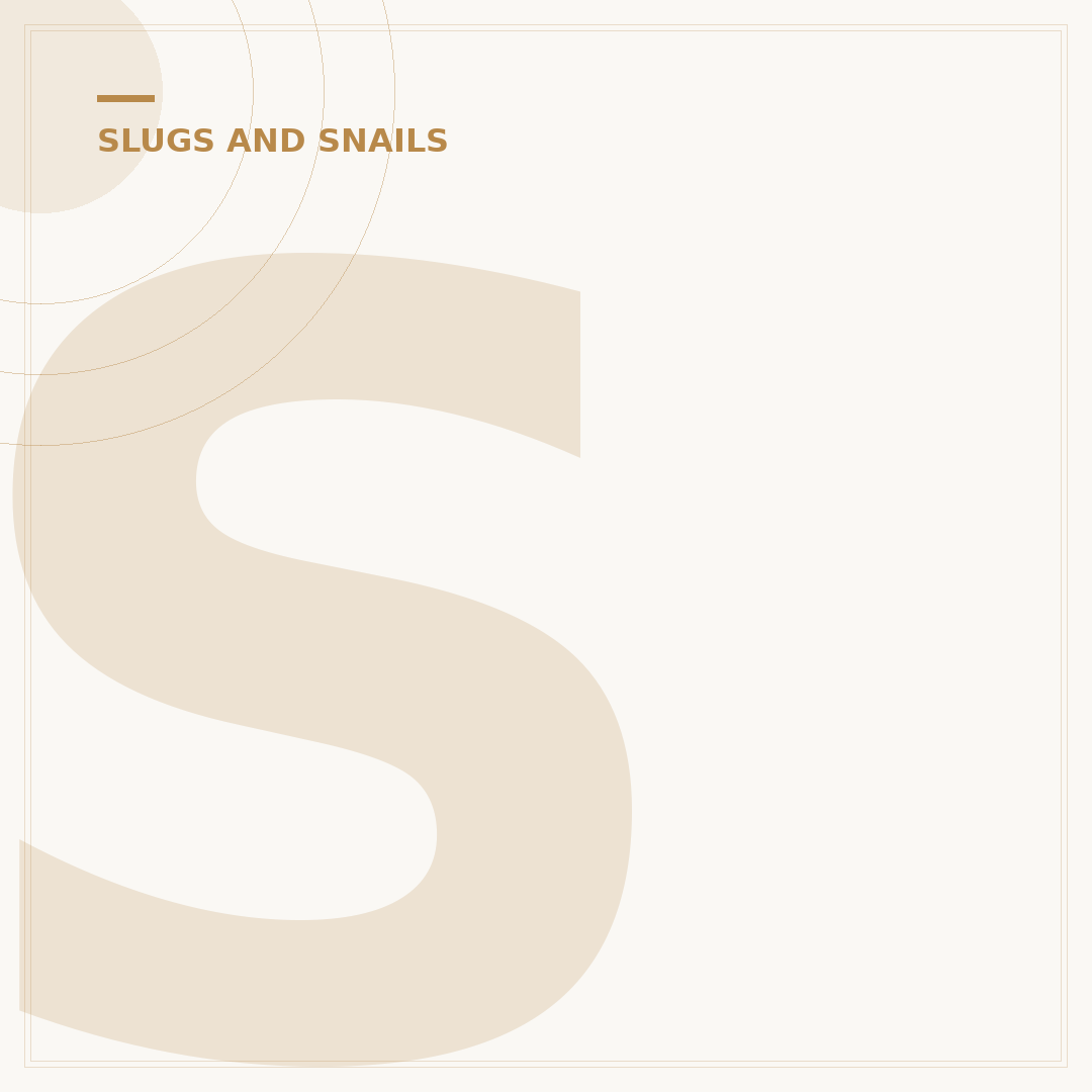 Slugs Getting Into House: Prevention and Removal