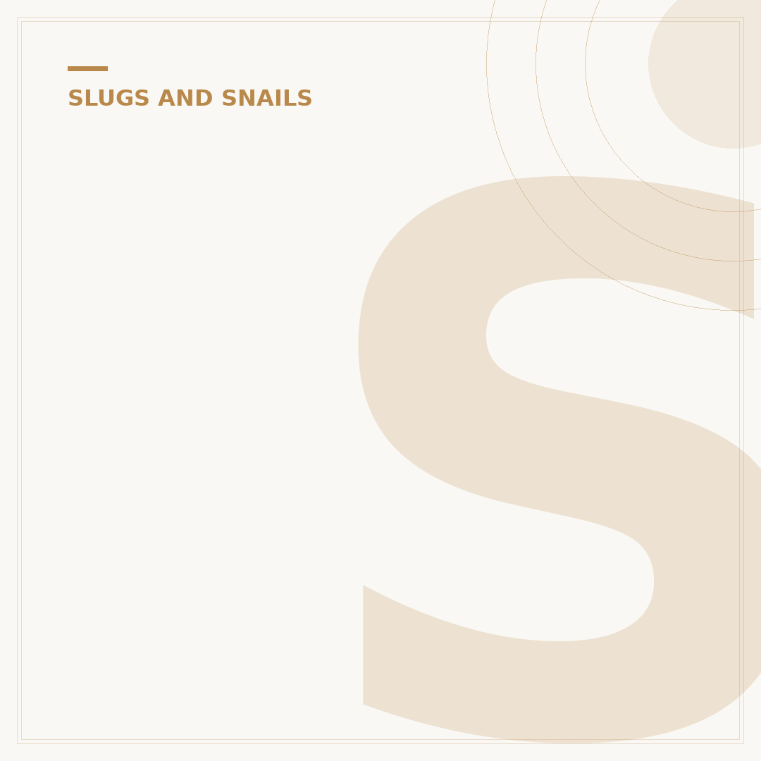Slugs in House at Night: Causes and Deterrence
