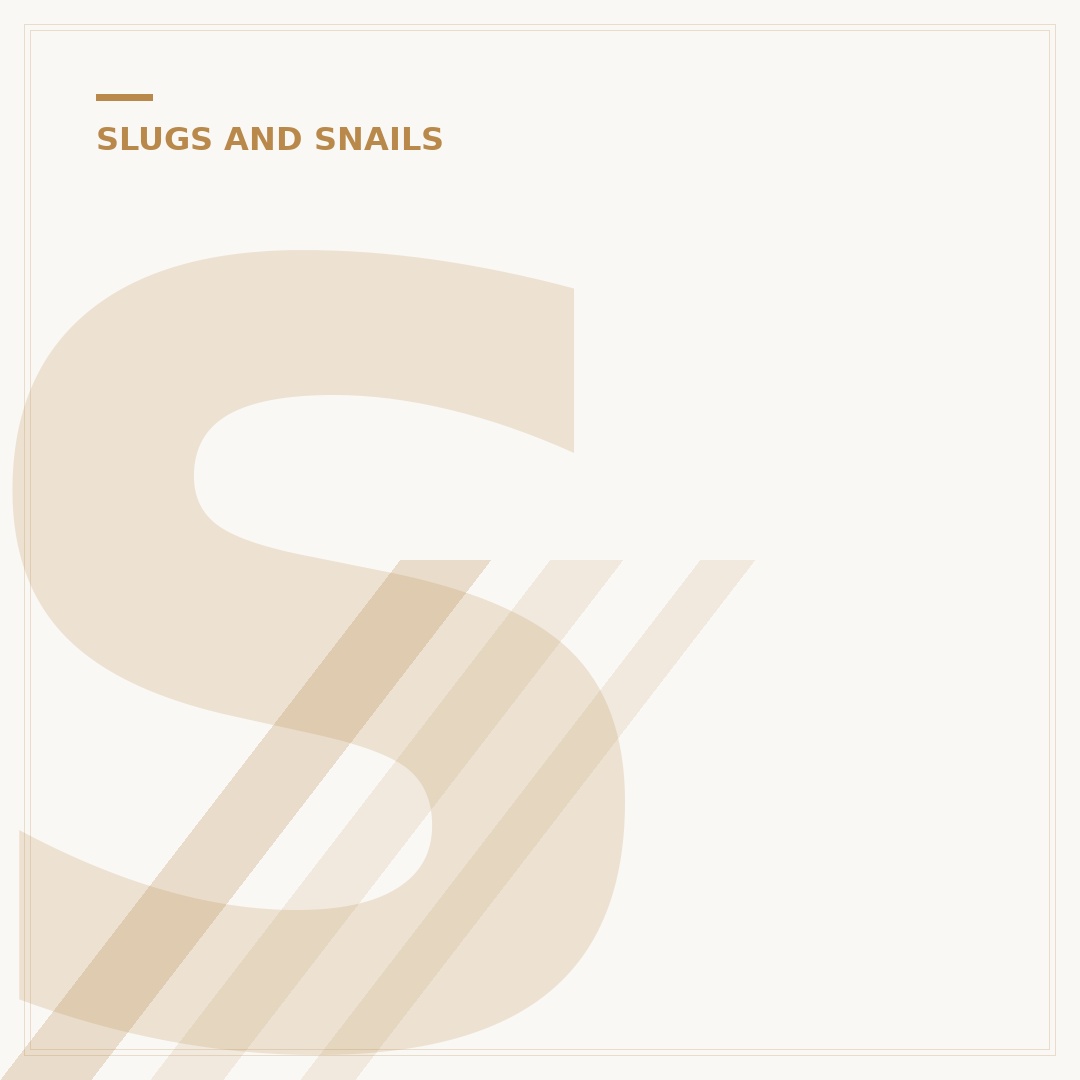 Slugs Inside House: Identification & Deterrence