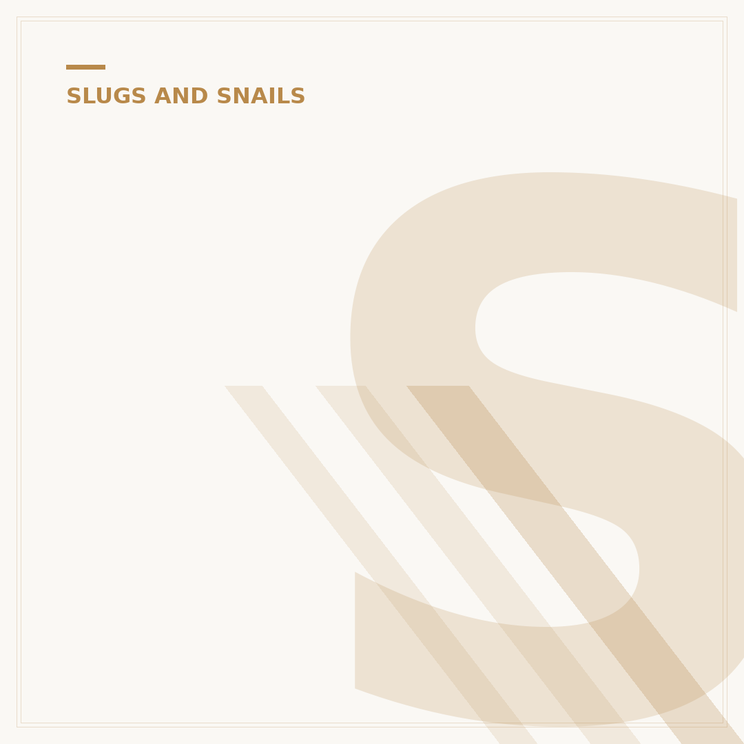 Slugs Mate: Alternative Pest Control Options