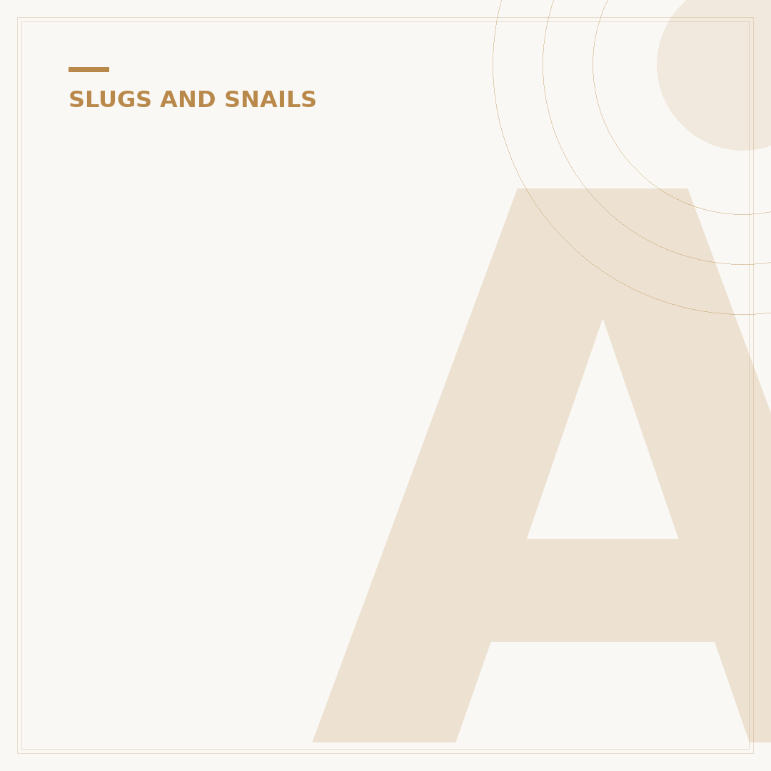 Are Slugs Snails Without Shells? The Key Differences