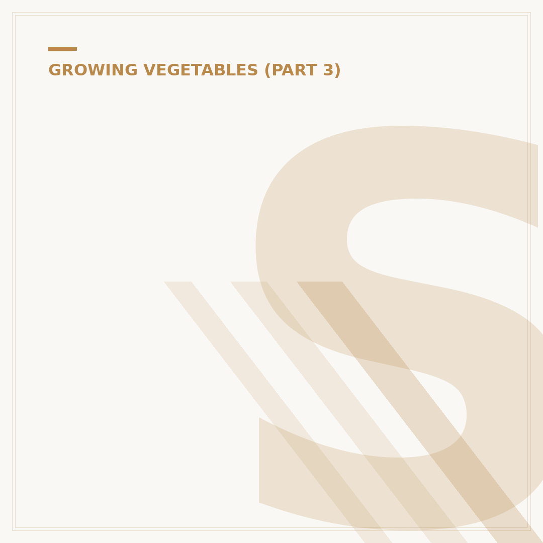 Small Cabbage White Caterpillar Control & Prevention