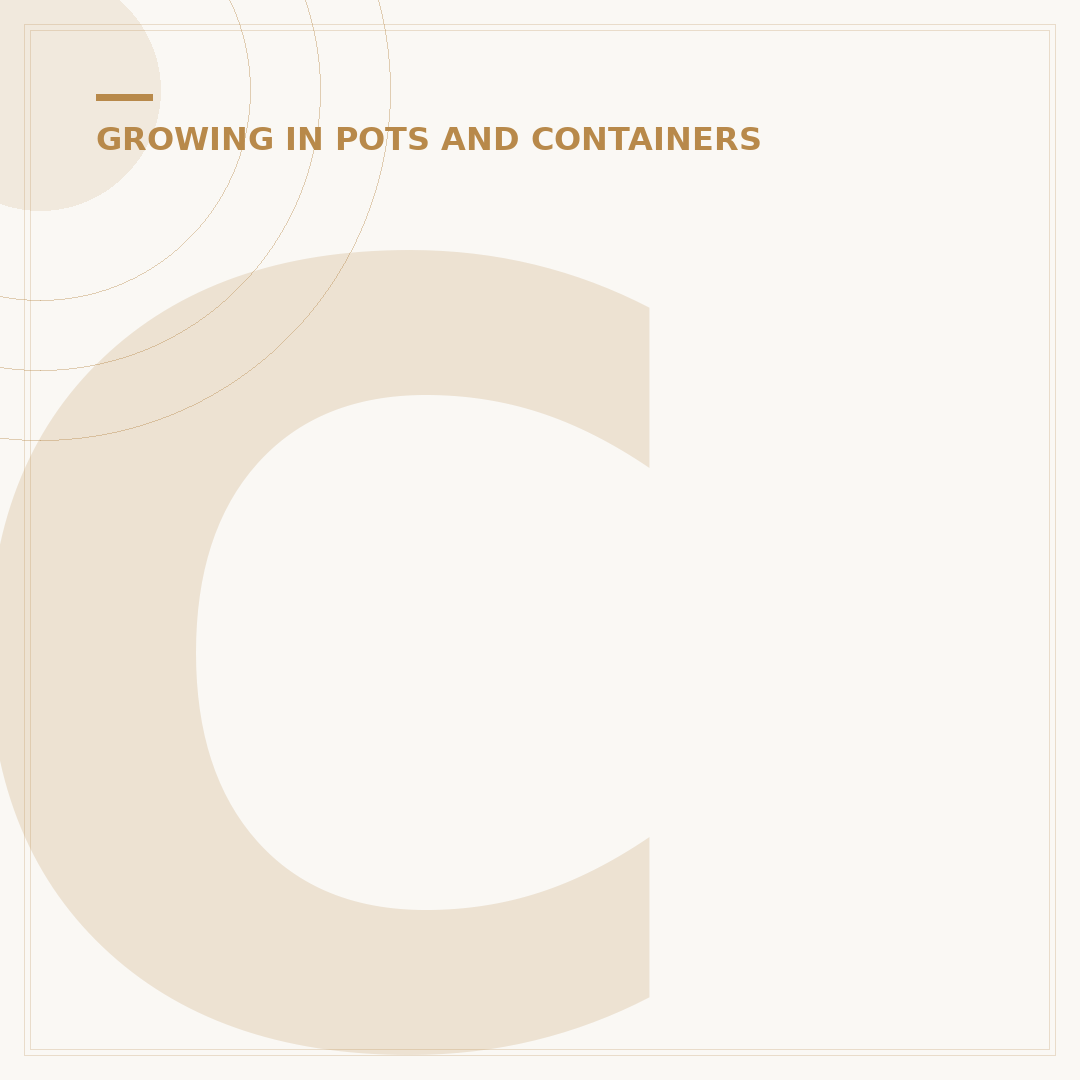 Choosing Small Garden Pots: Styles & Uses