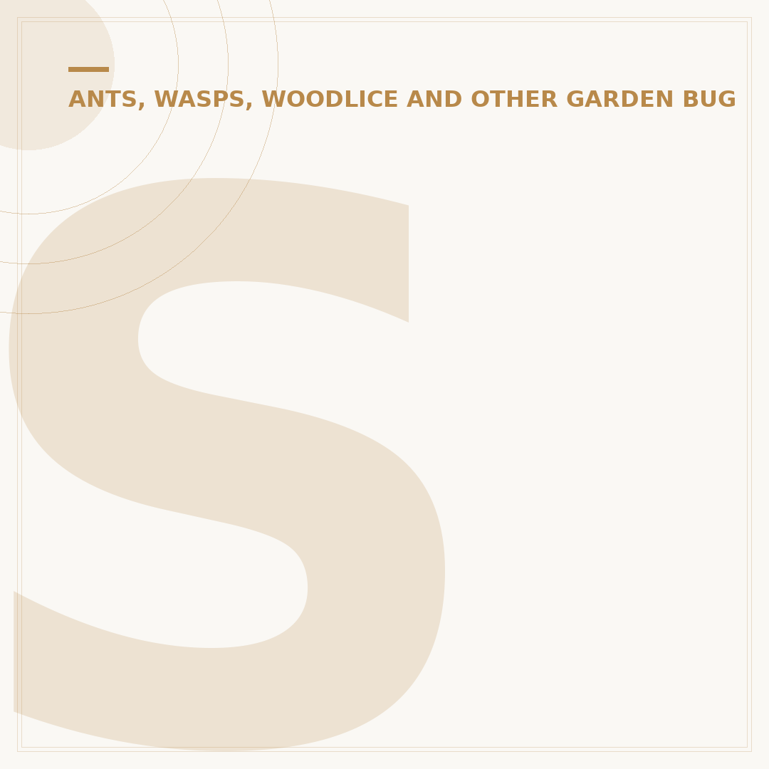 Small Wasps Nest: Identification & Safe Removal Options
