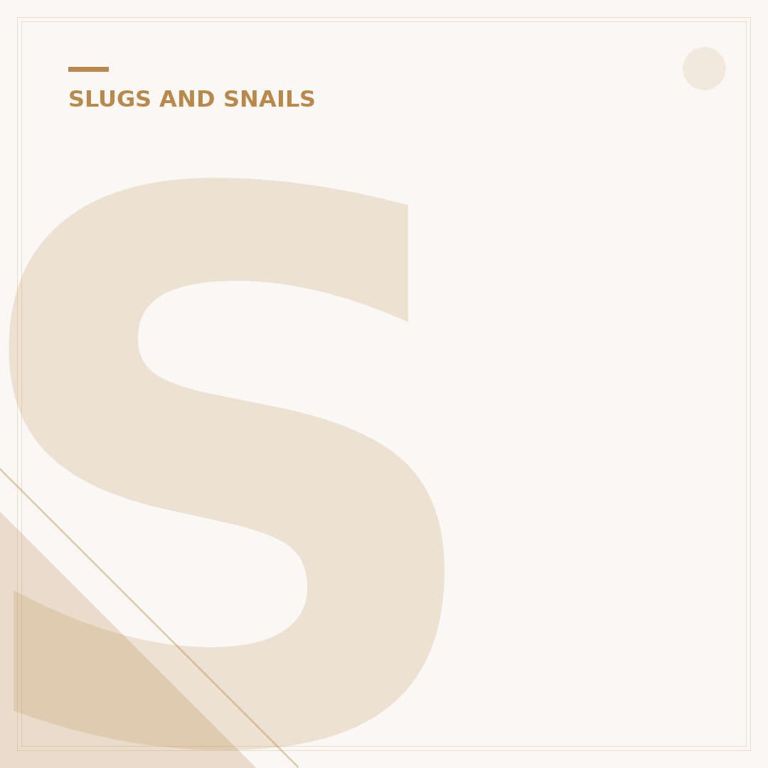 Snails and Slugs: Dealing With Garden Pests
