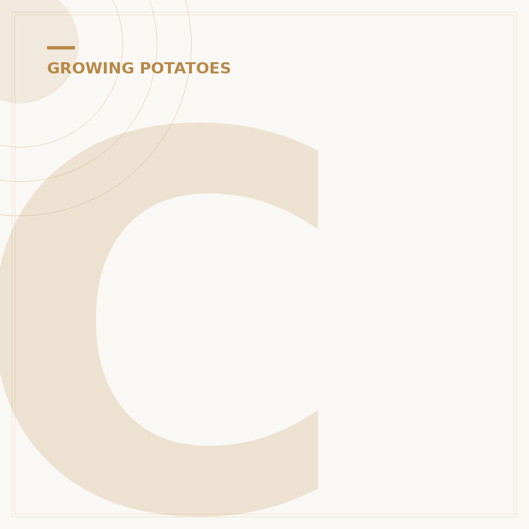 Choosing the Best Soil for Planting Potatoes