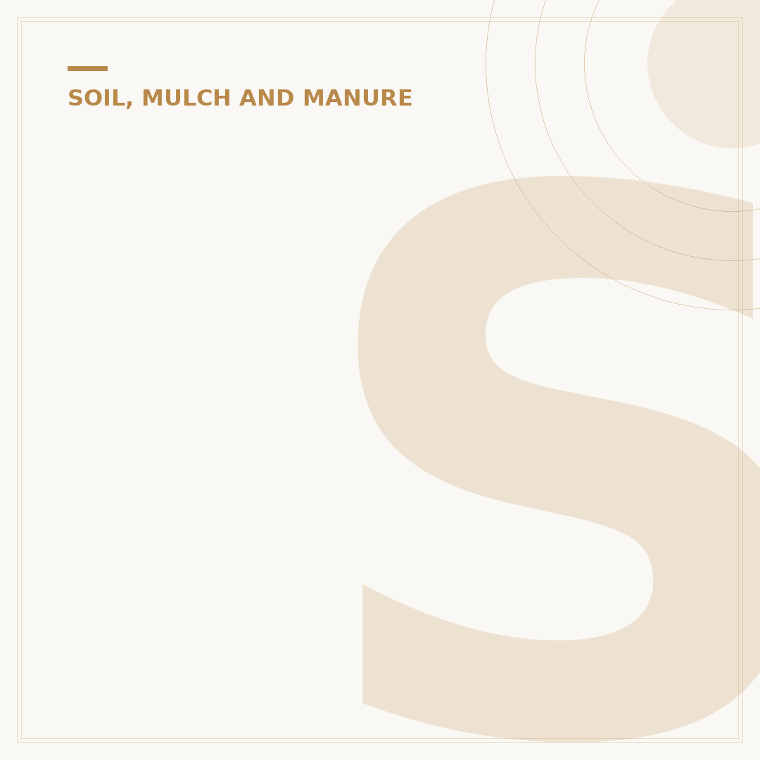 Soil Meaning: What It Is and Why It Matters