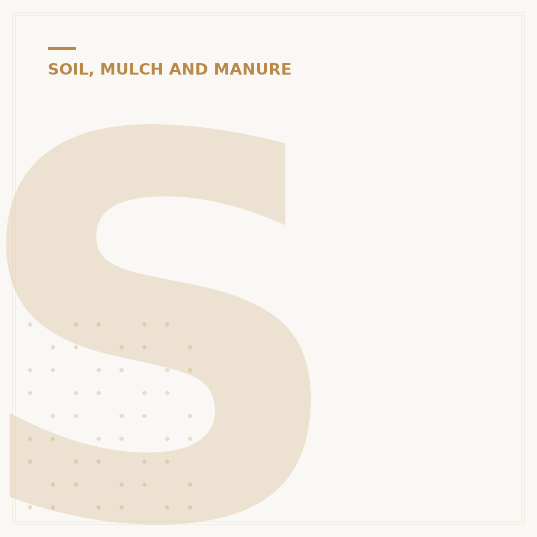 Soil Mites: What They Are and Their Role in Your Garden