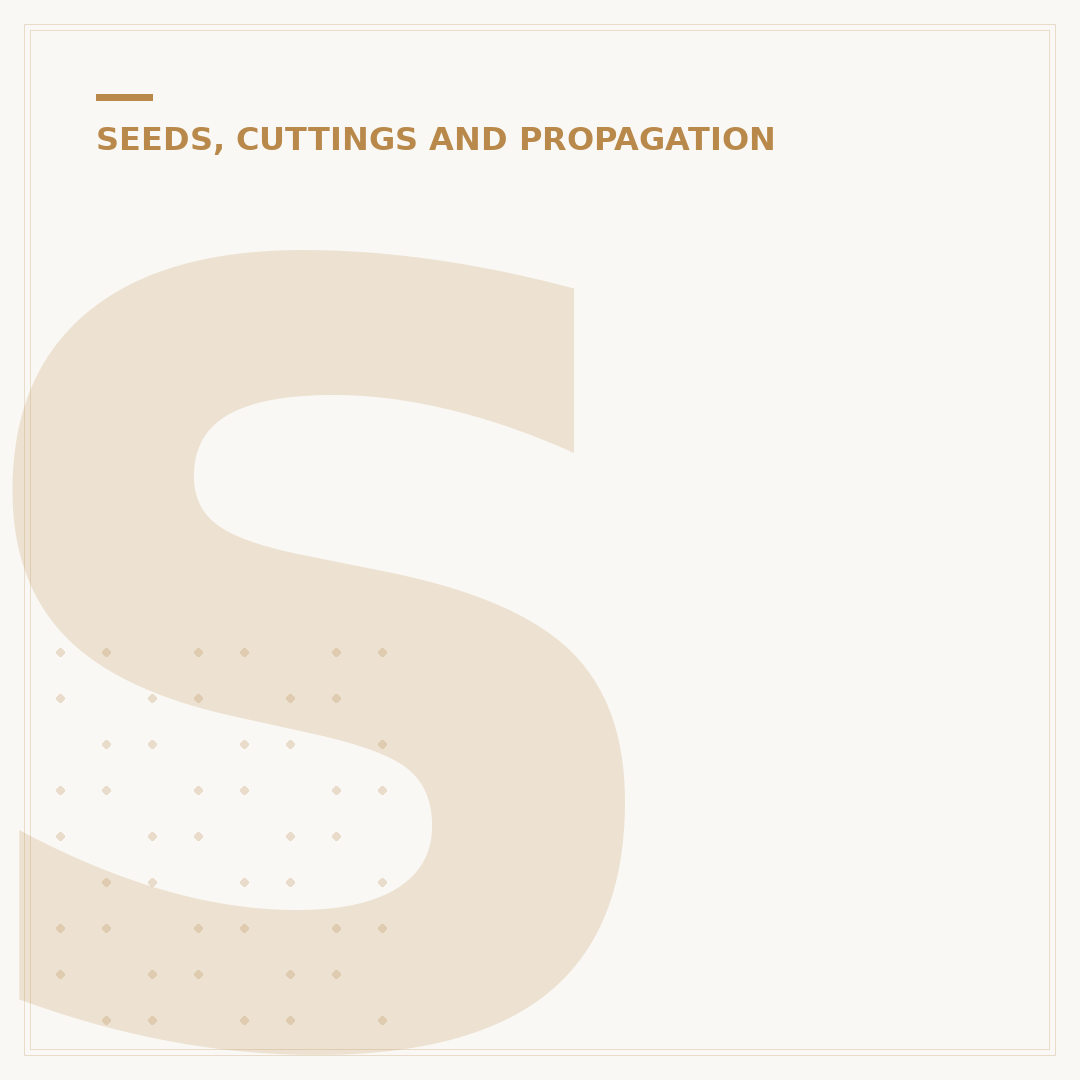 Sow Seeds Meaning: Starting New Life in Your Garden