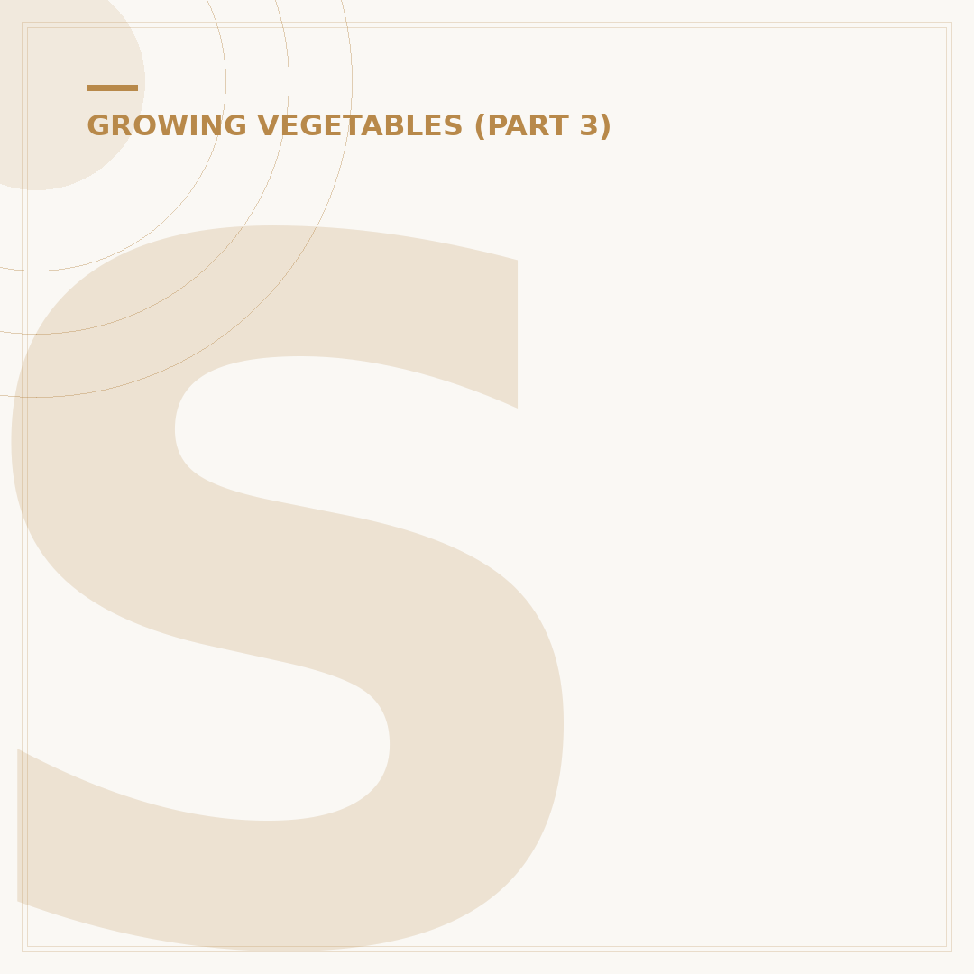 Sowing Broad Beans: Which Way Up Should Seeds Go?