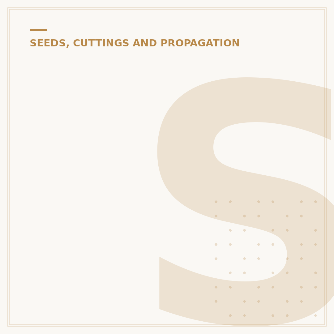 Sowing Needle: Uses and Alternatives Explained