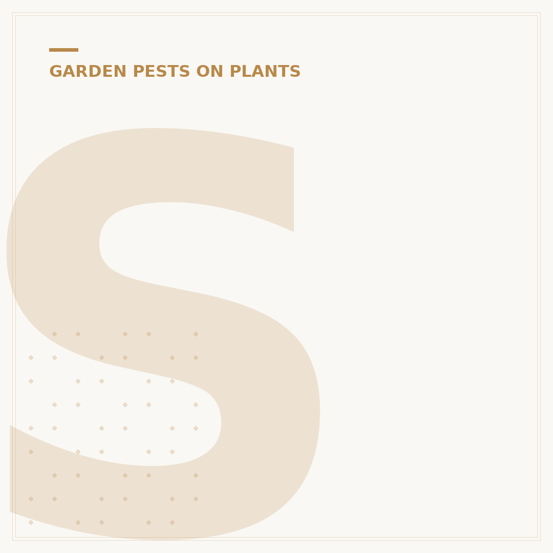 Spider Mites on Indoor Plants: Identification & Control