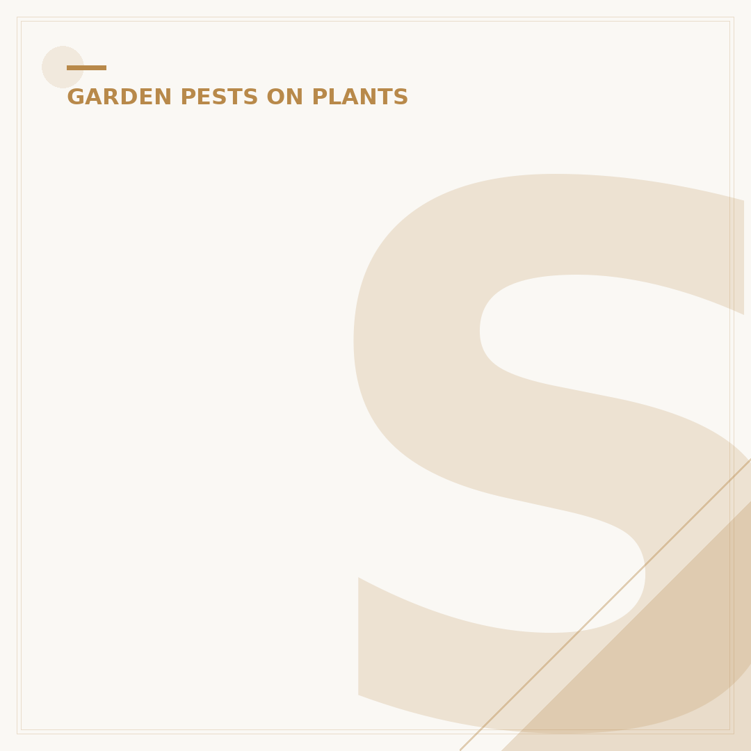 Spider Mites on Houseplants: Identification and Control