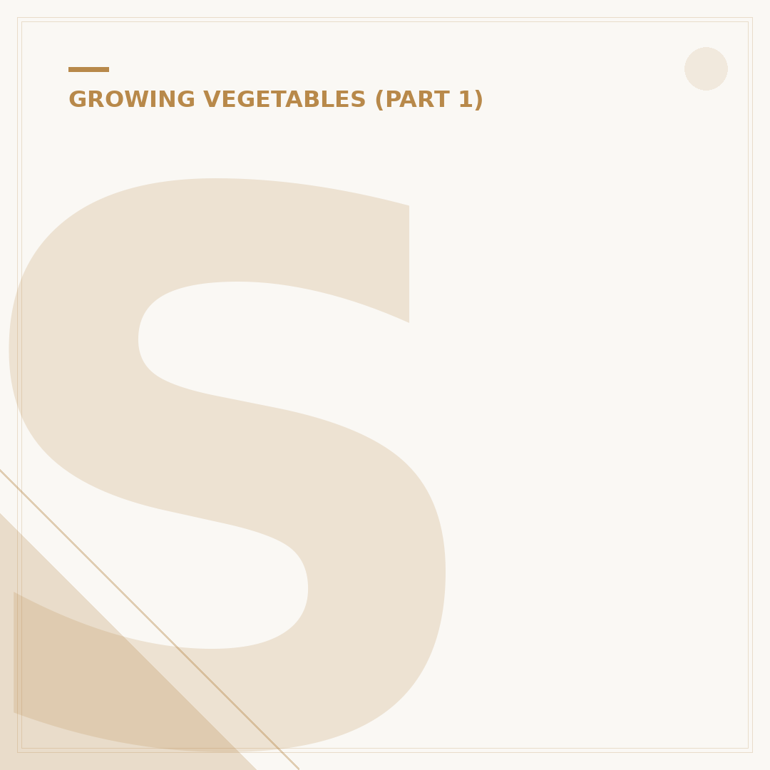Spring Planting Garlic: When and How To Grow