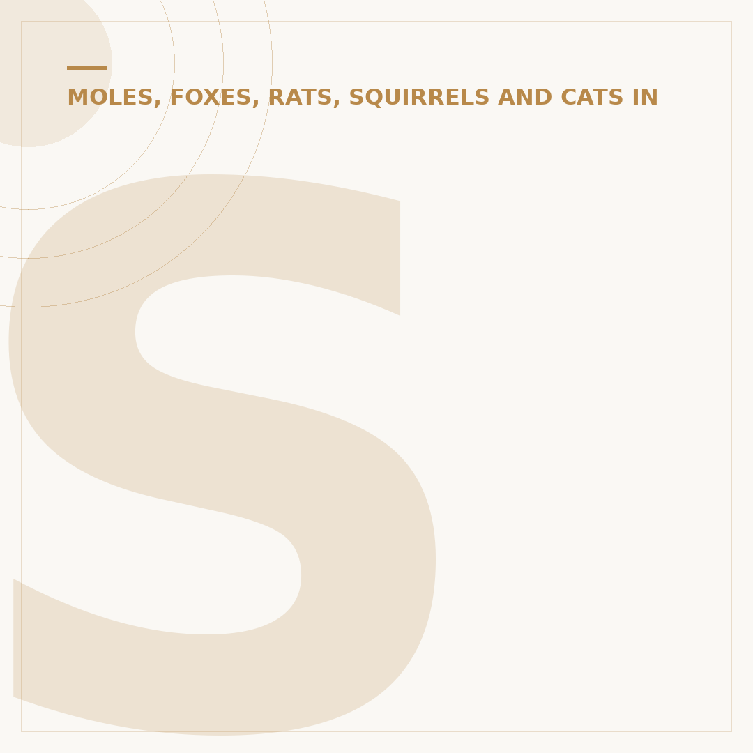 Squirrels in Garden: How to Deter Them Safely