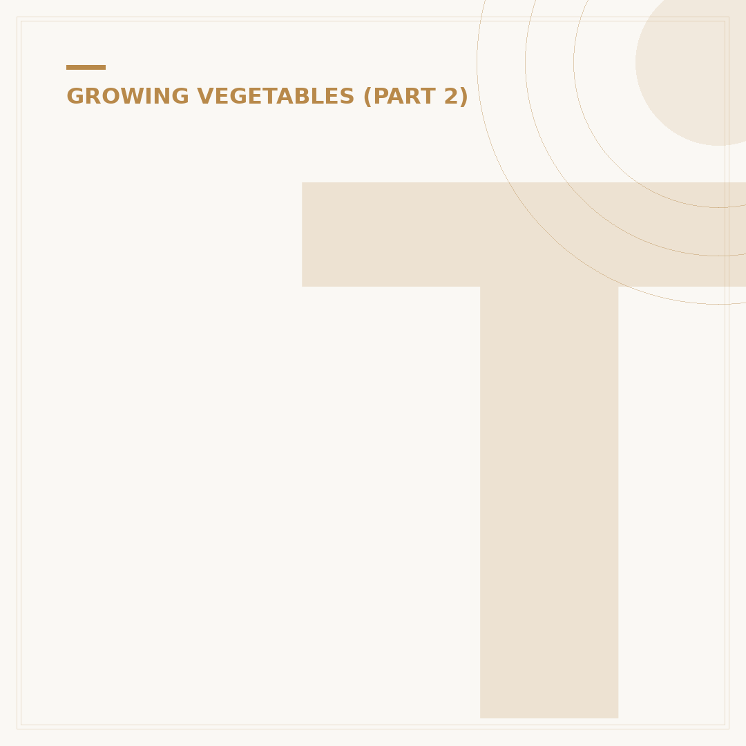 The Stages of Growing Asparagus: From Seed to Harvest