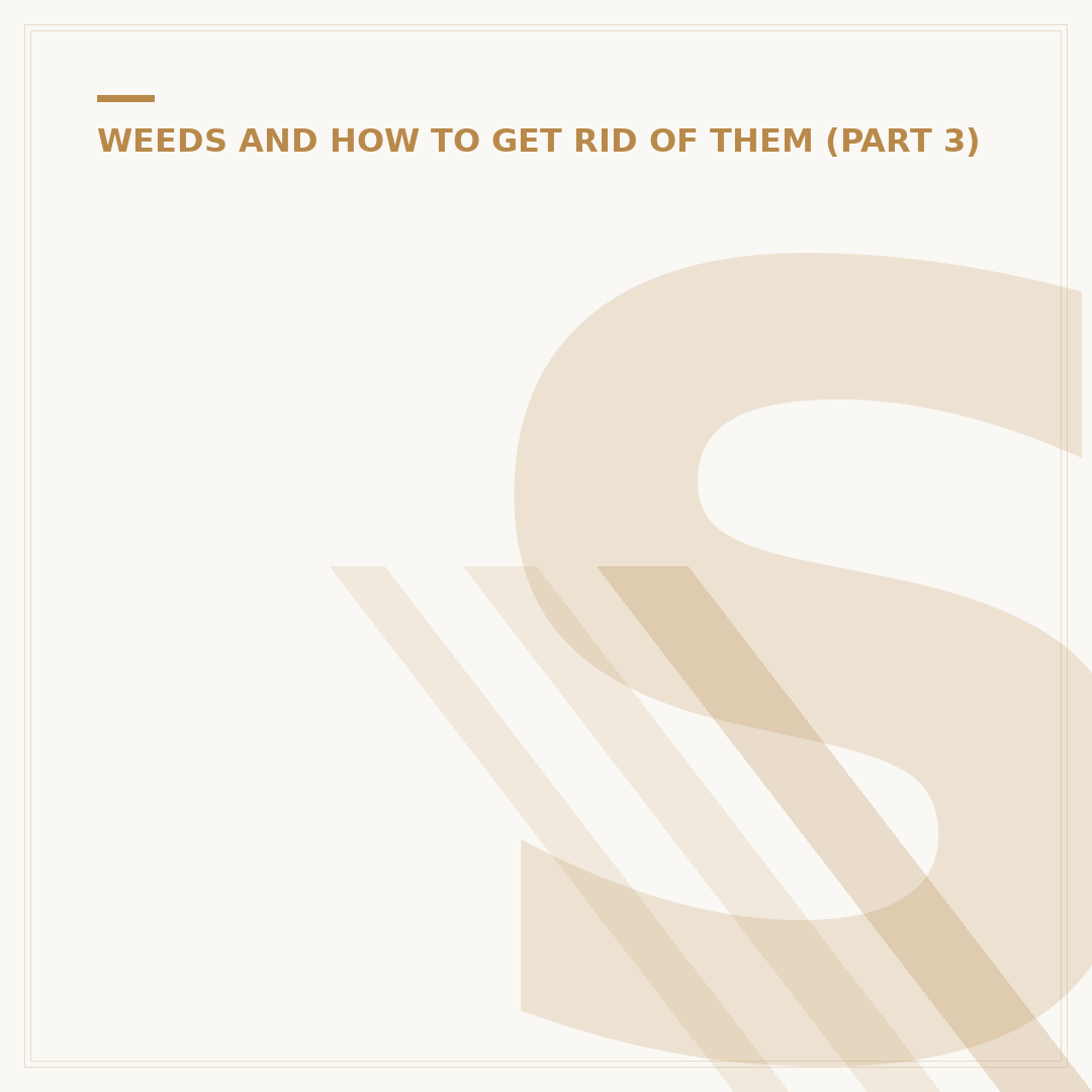 Stihl Weed Wacker Harness Options