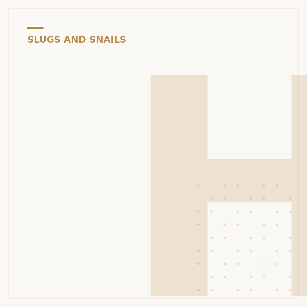 How to Stop Slugs Coming Indoors: Effective Deterrents
