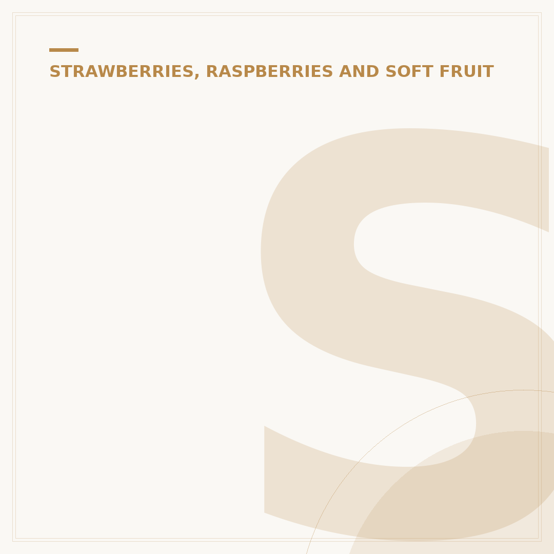 Strawberry Plant Feed: What They Need and When