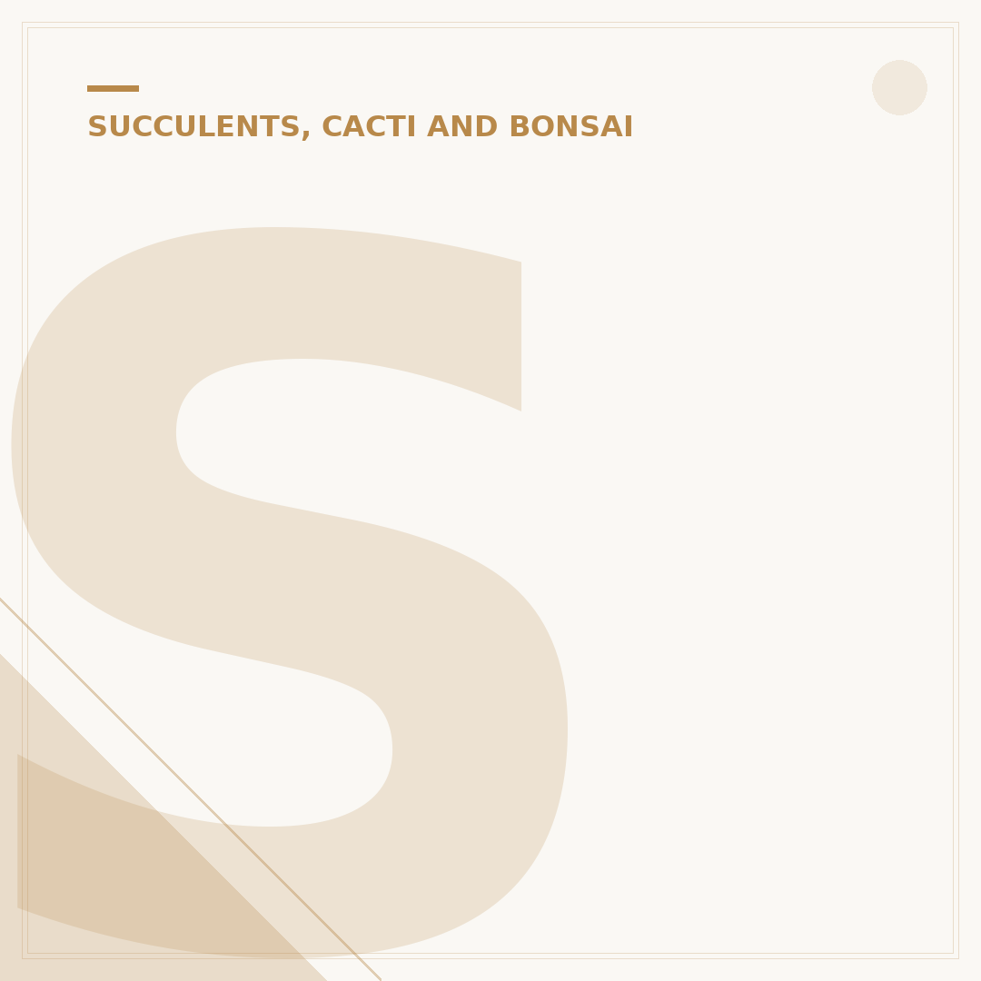Succulent Plant Identifier: Find Your Unknown Succulent