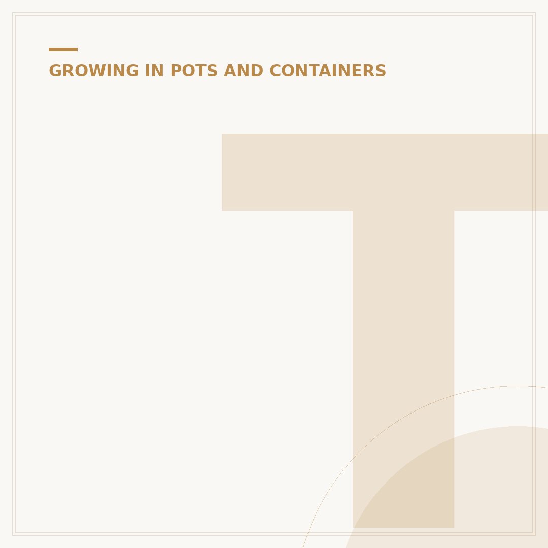 Terracotta Plant Pots: Benefits and Alternatives Explored
