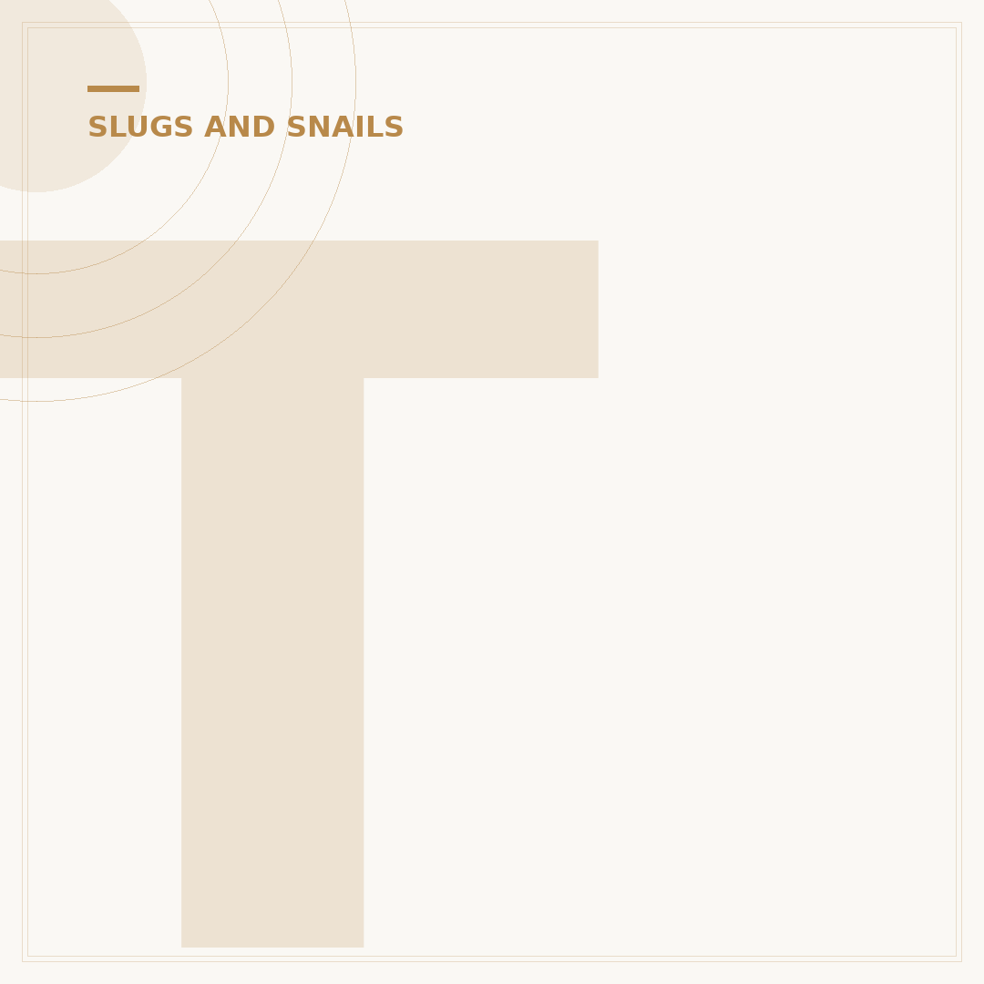 Tiger Slugs: Identification, Habits, and Control