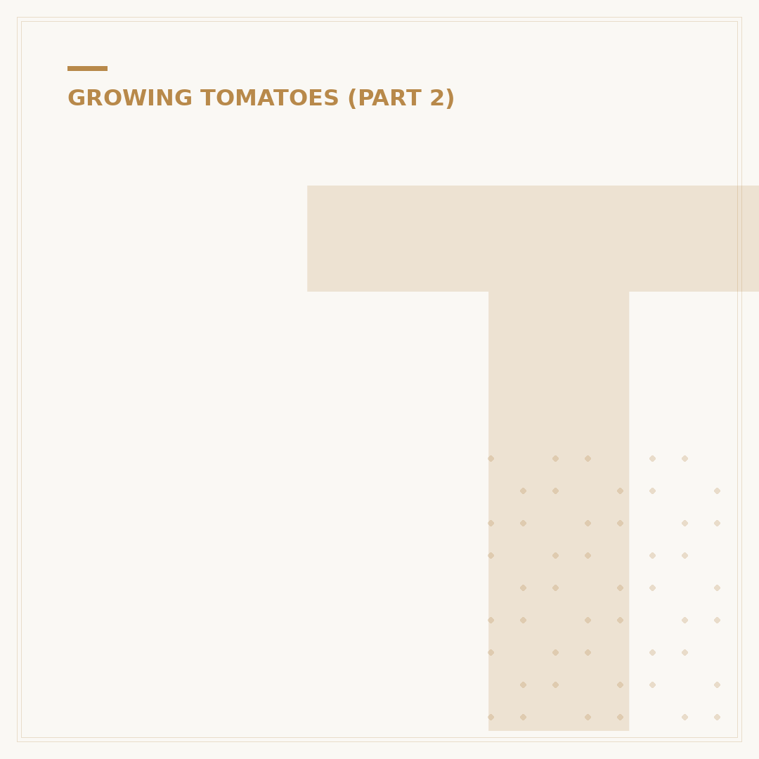 Tomato Blight Disease: Identification and Management